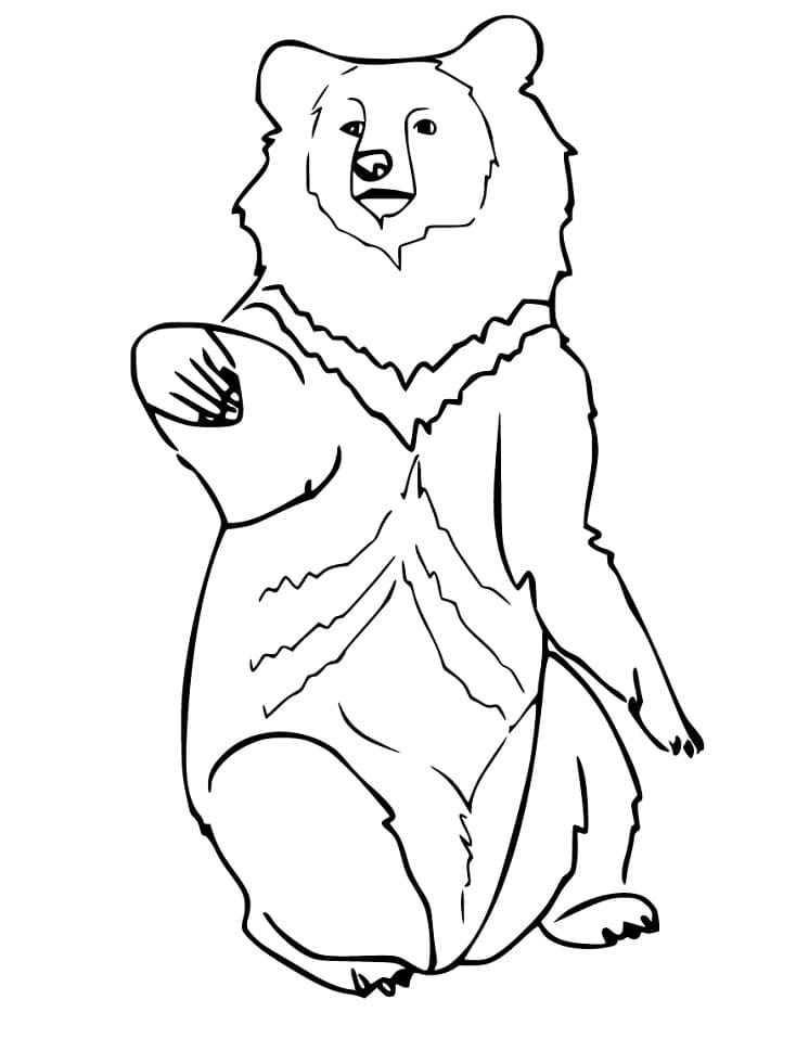 Free Printable Black Bear Coloring Game Free Printable Black Bear