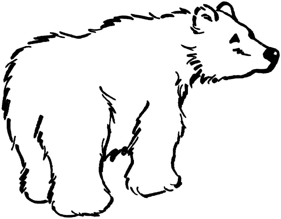 Free Printable Brown Bear Coloring Game Free Printable Brown Bear