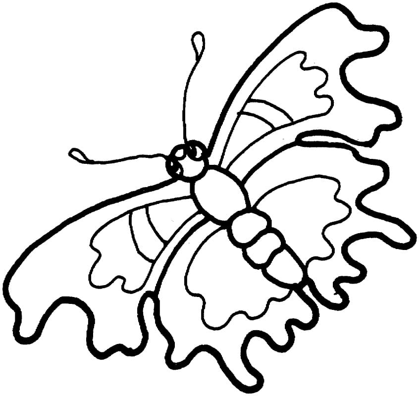 Free Printable Butterfly