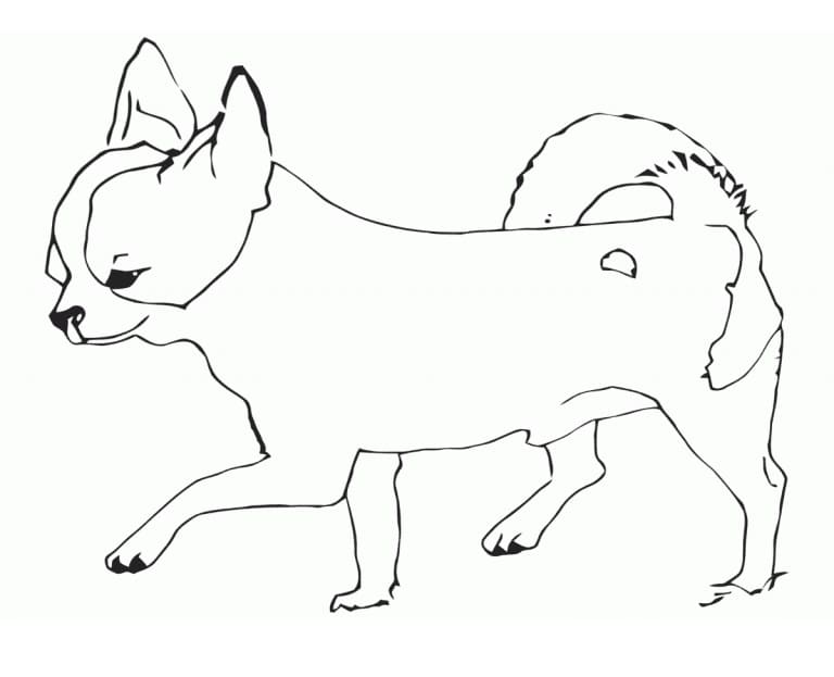 Free Printable Chihuahua Coloring Game Free Printable Chihuahua