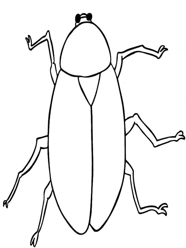 Free Printable Cockroach Coloring Game Free Printable Cockroach