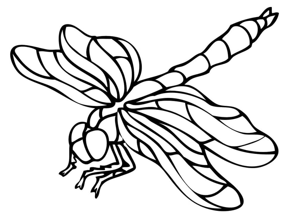 Free Printable Dragonfly Coloring Game Free Printable Dragonfly