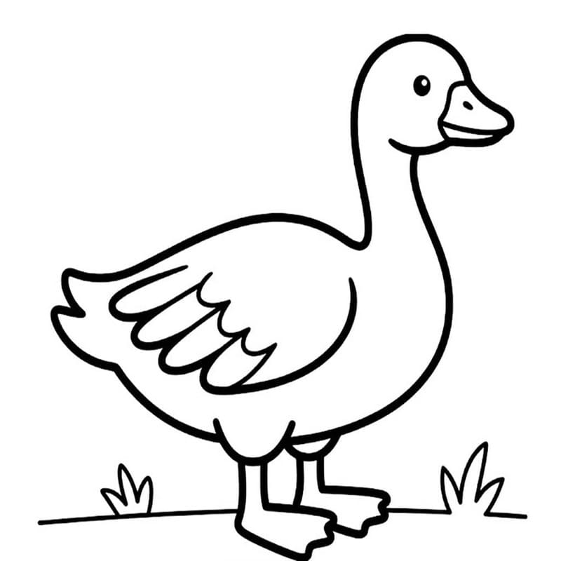 Free Printable Farm Animal