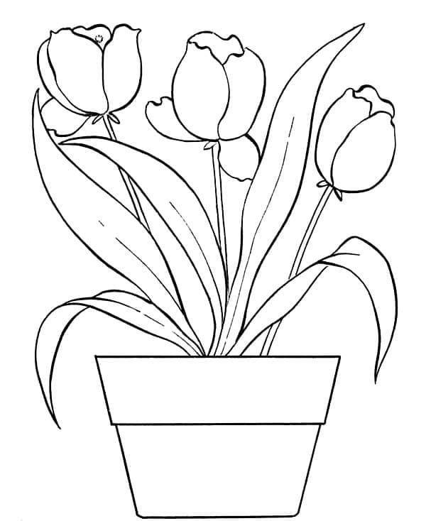 Free Printable Flower Pot