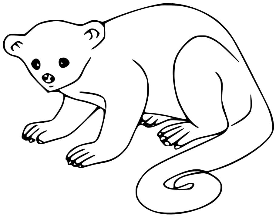 Free Printable Kinkajou