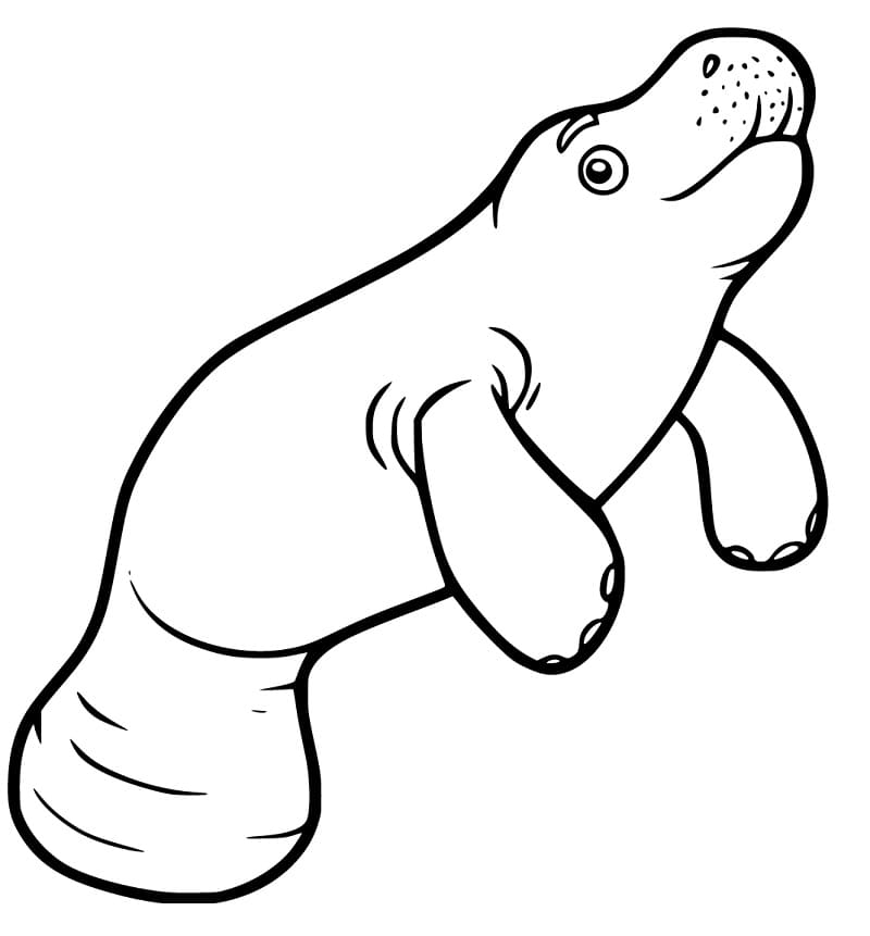 Free Printable Manatee