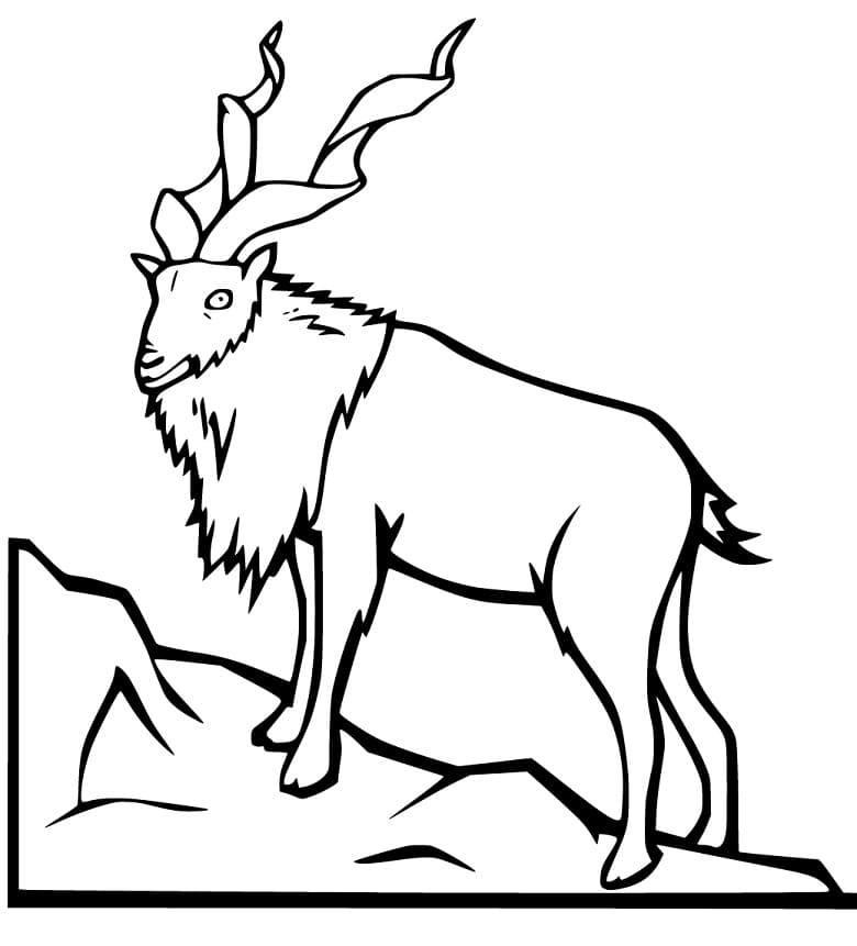 Free Printable Markhor