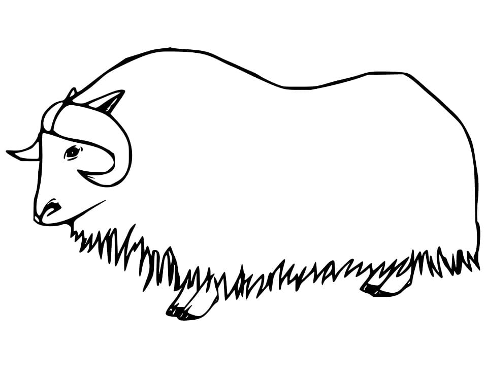 Free Printable Musk Ox