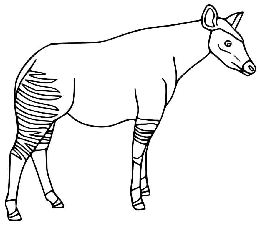 Free Printable Okapi