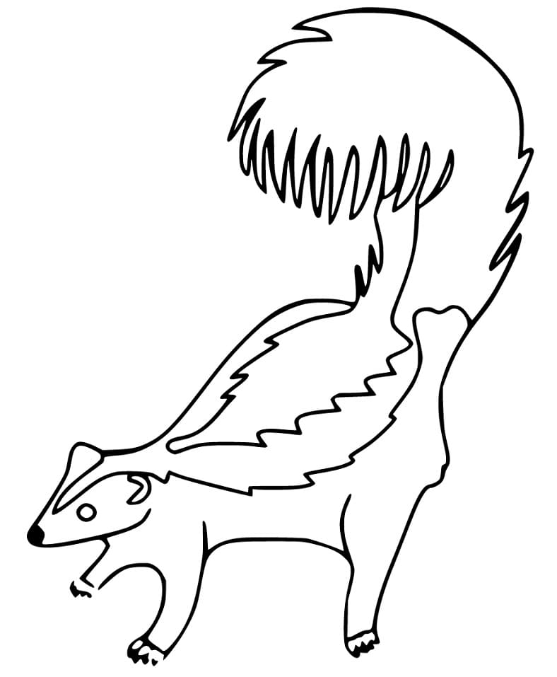 Skunk 1 Coloring - Play Free Coloring Game Online
