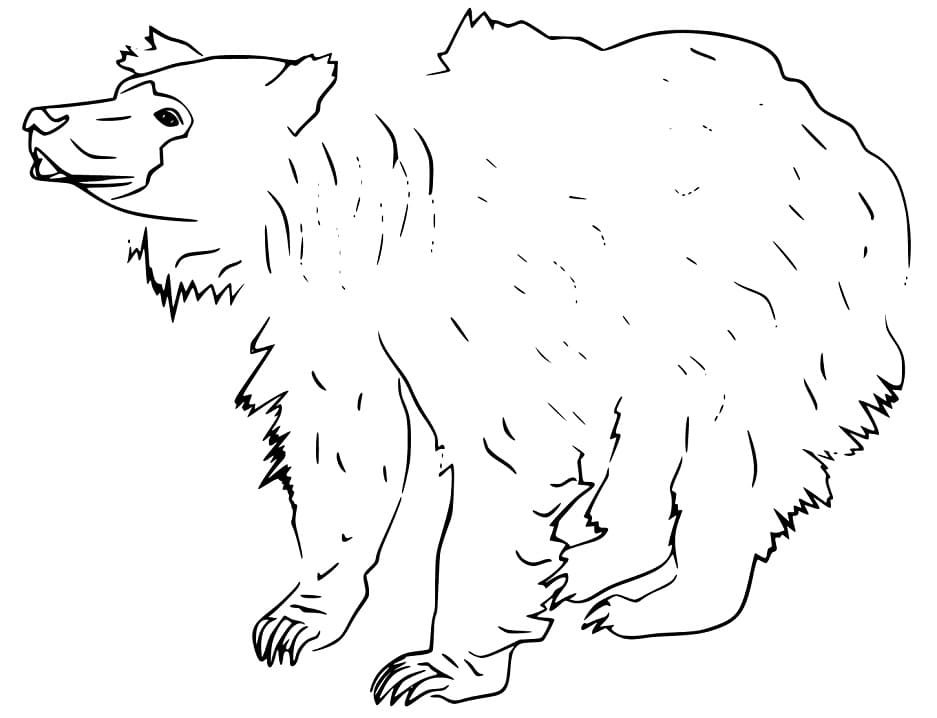 Free Printable Sloth Bear Coloring Game Free Printable Sloth Bear