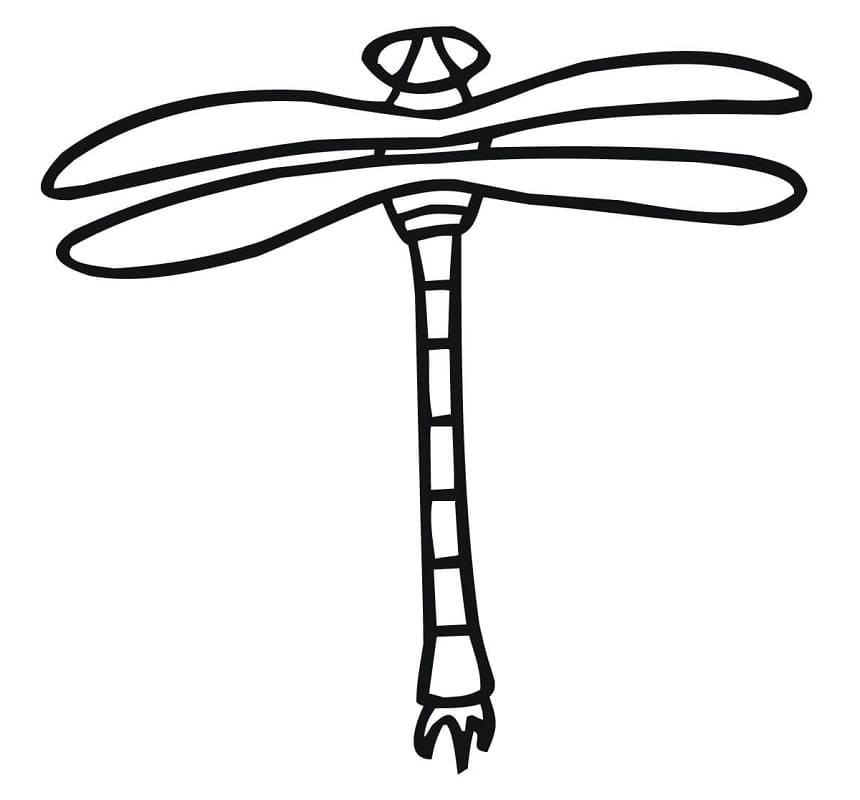 Free Simple Dragonfly Coloring Game Free Simple Dragonfly