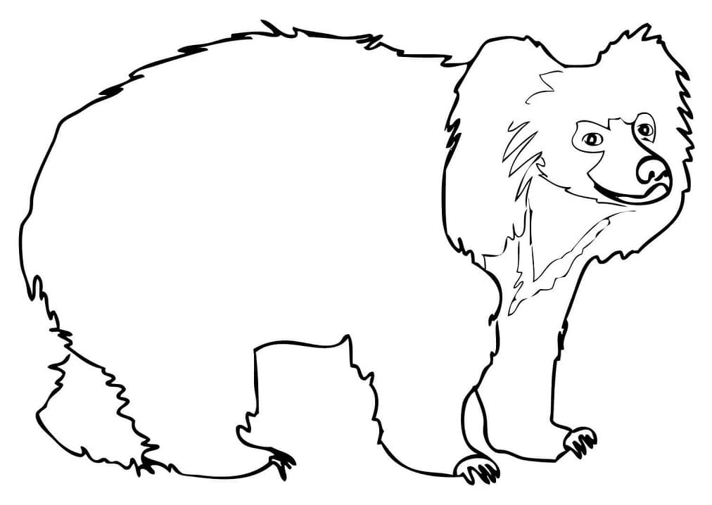 Free Sloth Bear Coloring Game Free Sloth Bear