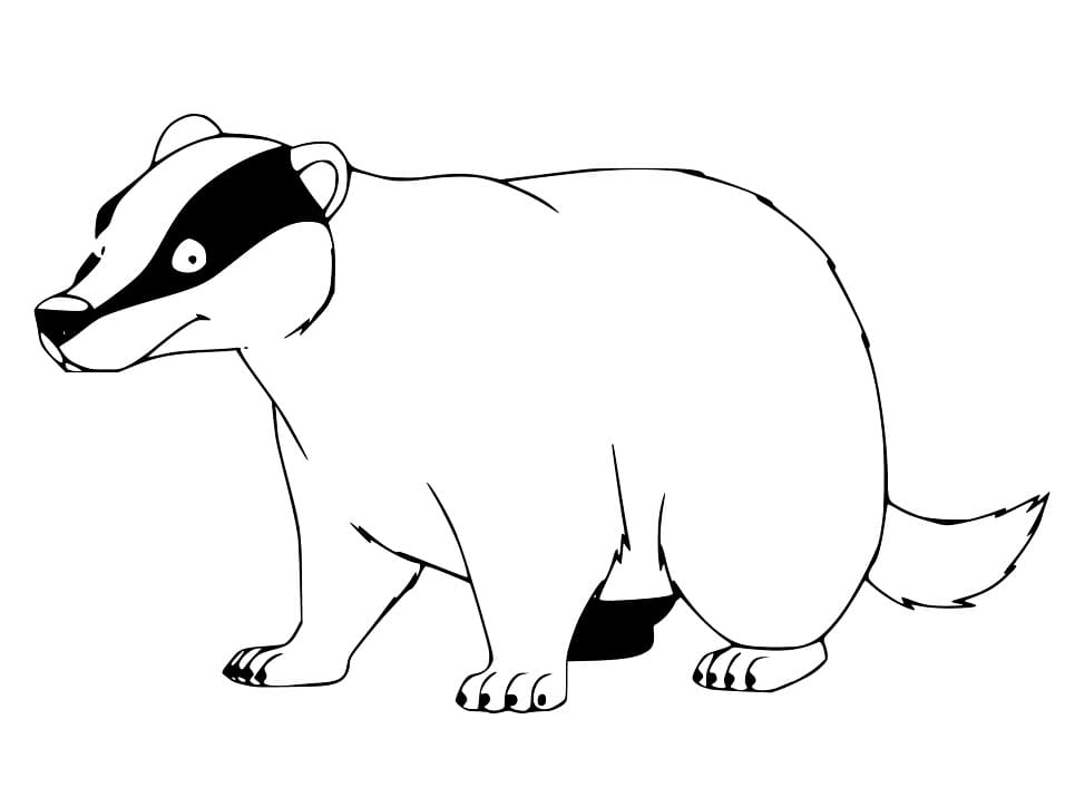 Fun Badger Coloring Game Fun Badger