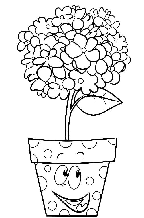 Flower Pot
