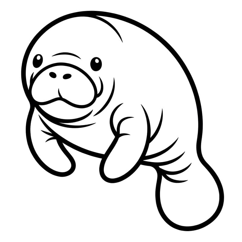 Fun Manatee