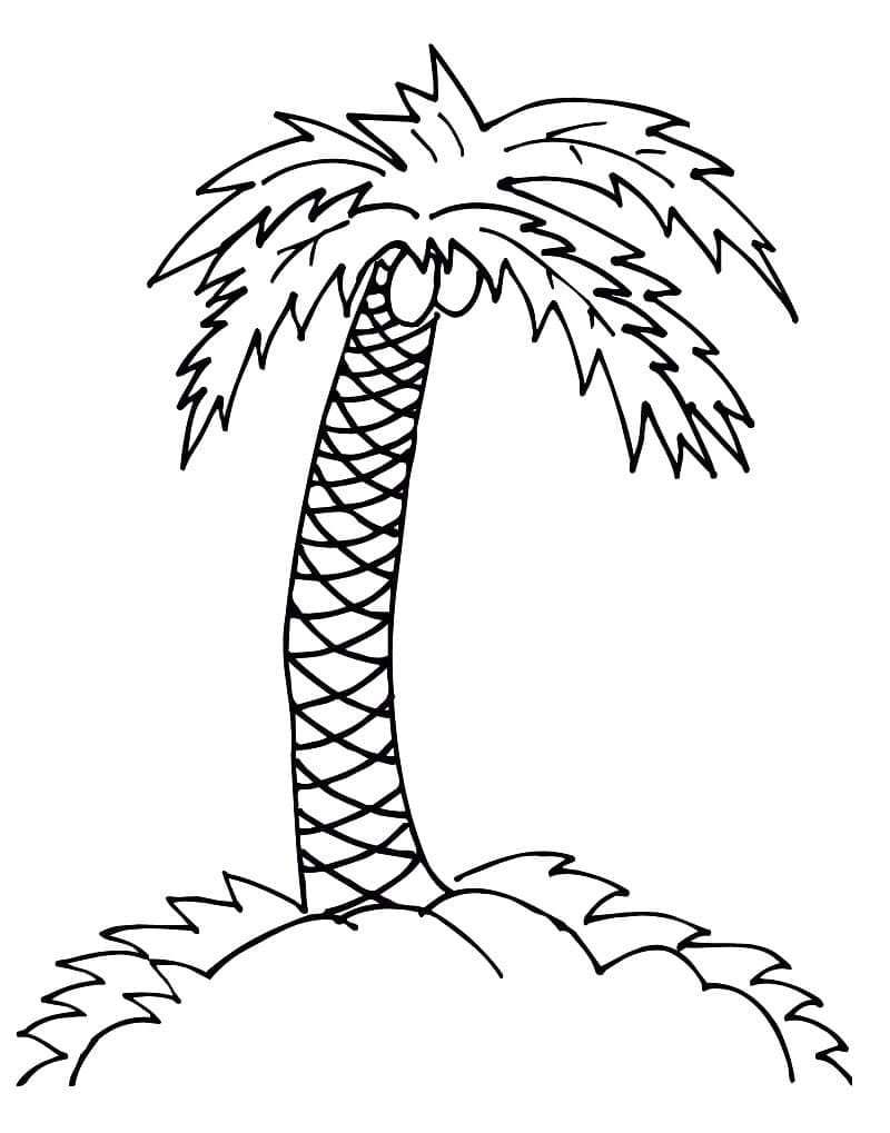 Fun Palm Tree
