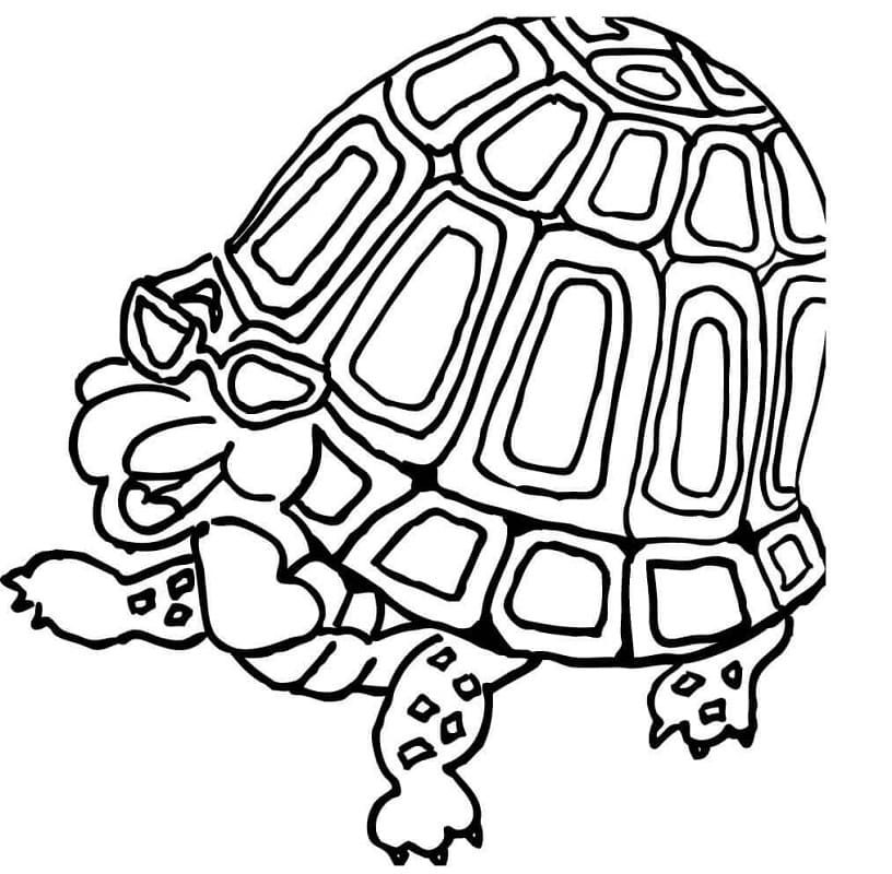 Fun Turtle Coloring Game Fun Turtle