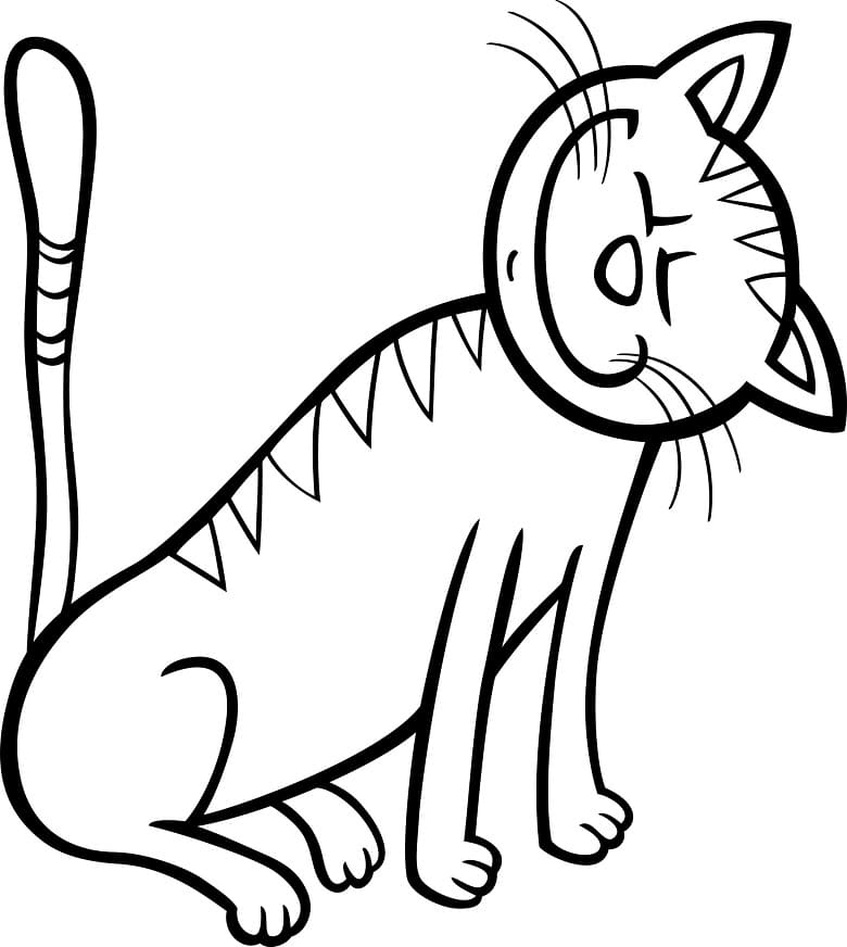 Funny Cartoon Cat Coloring Game Funny Cartoon Cat