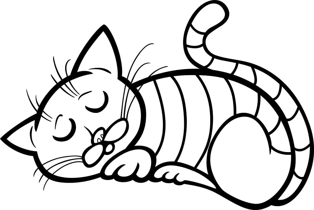 Funny Cat Sleeping Coloring Game Funny Cat Sleeping