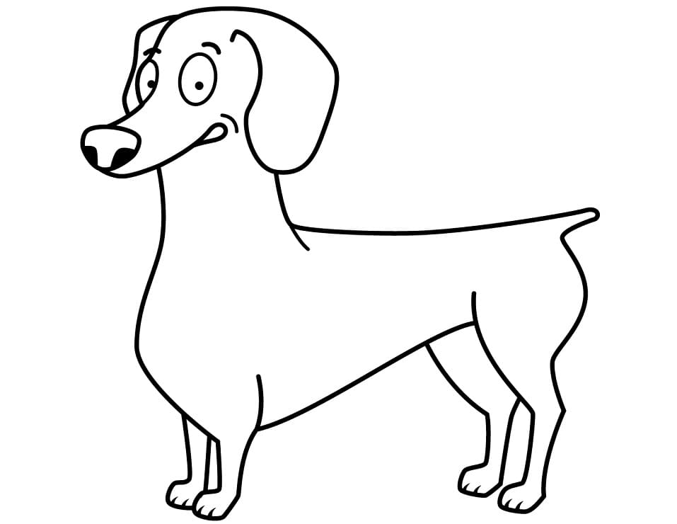 Funny Dachshund Coloring Game Funny Dachshund
