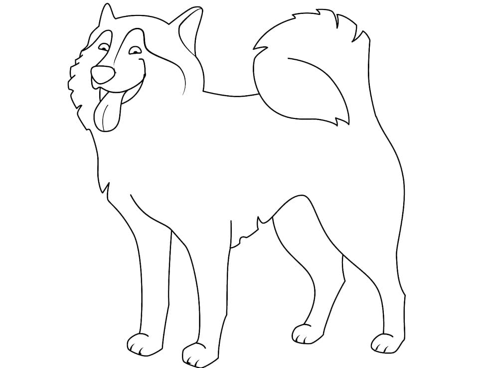 Funny Husky Coloring Game Funny Husky