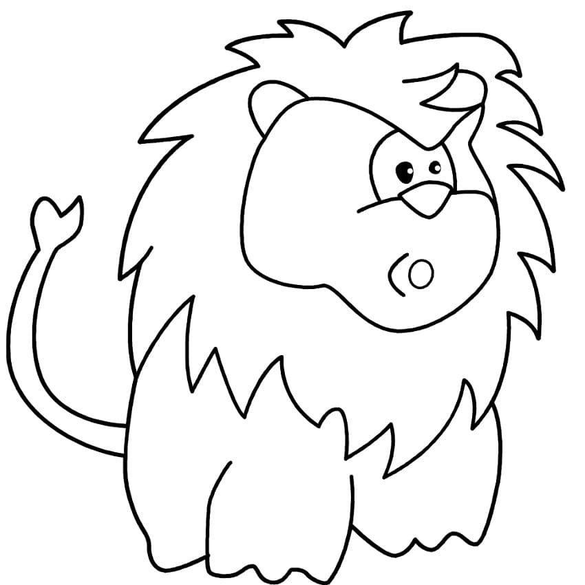 Funny Lion Surprised
