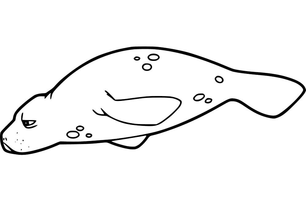 Funny Manatee