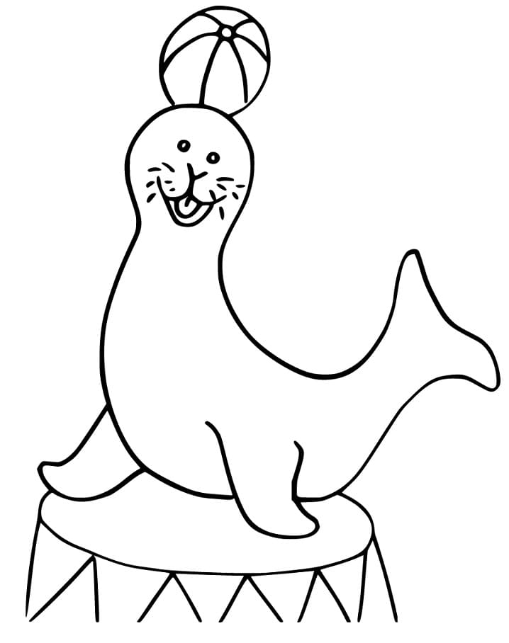 Funny Sea Lion Coloring Game Funny Sea Lion