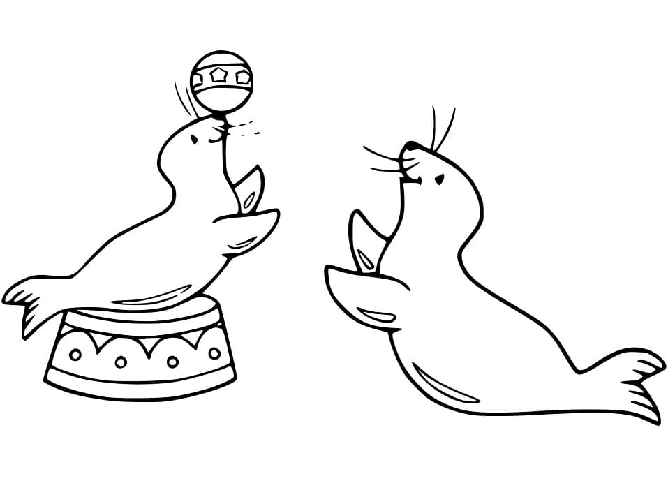 Funny Sea Lions Coloring Game Funny Sea Lions