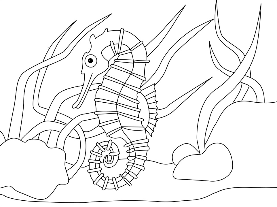 Funny Seahorse Coloring Game Funny Seahorse