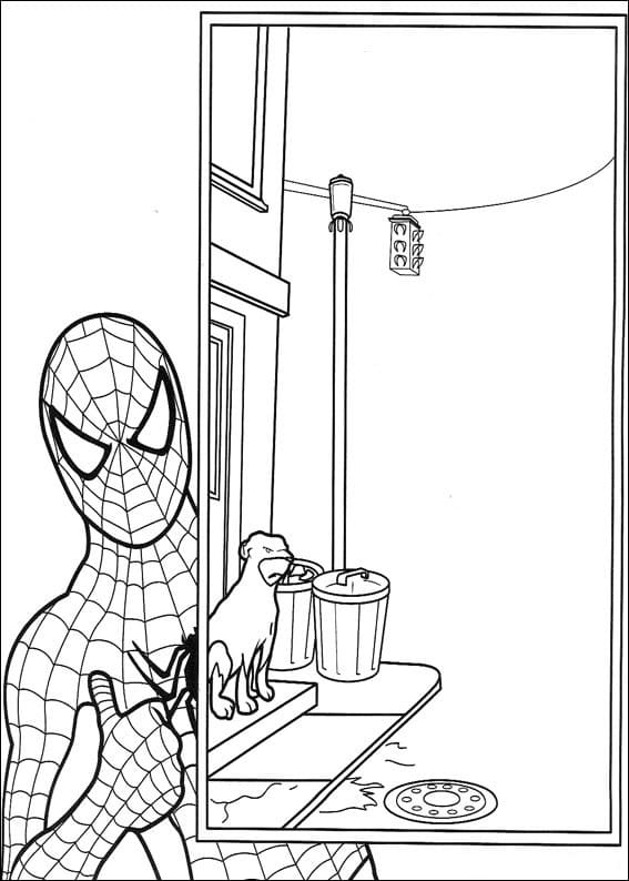 Funny Spiderman Coloring Game Funny Spiderman