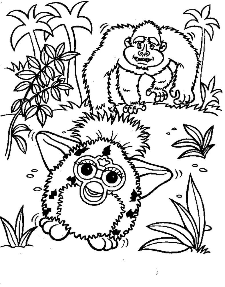 Furby and Monkey