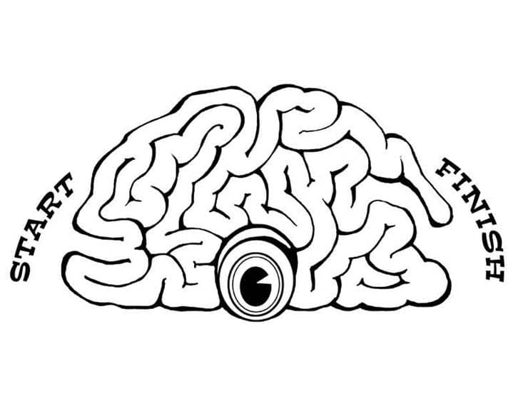 Game Human Brain Coloring Game Game Human Brain