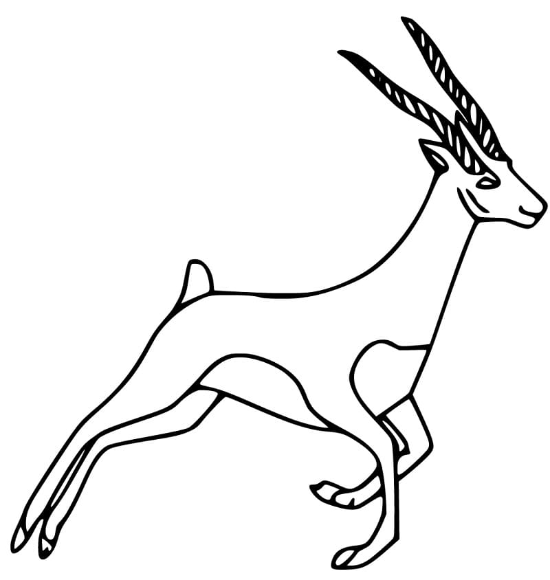 Gazelle Smiling