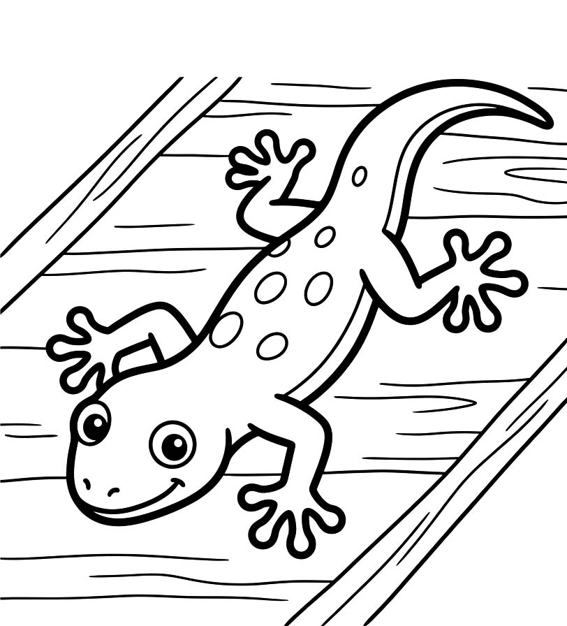 Gecko Free