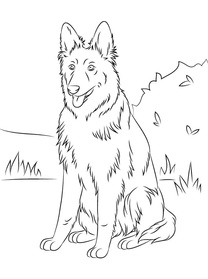 German Shepherd Sitting Coloring Game German Shepherd Sitting