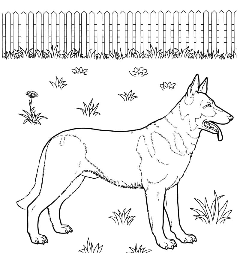 German Shepherd 1 Coloring Game German Shepherd 1