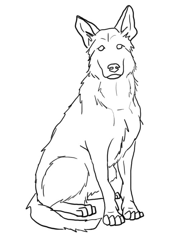 German Shepherd 8 Coloring Game German Shepherd 8