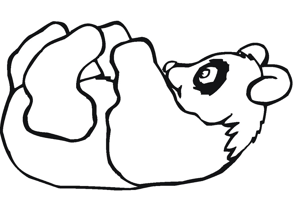 Giant Panda 4 Coloring Game Giant Panda 4