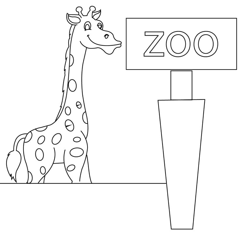 Giraffe in a Zoo