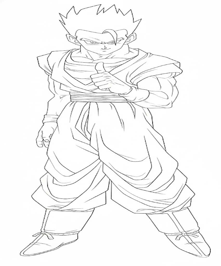 Gohan Basic
