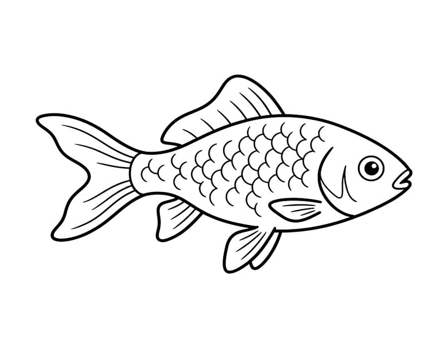 Goldfish Free