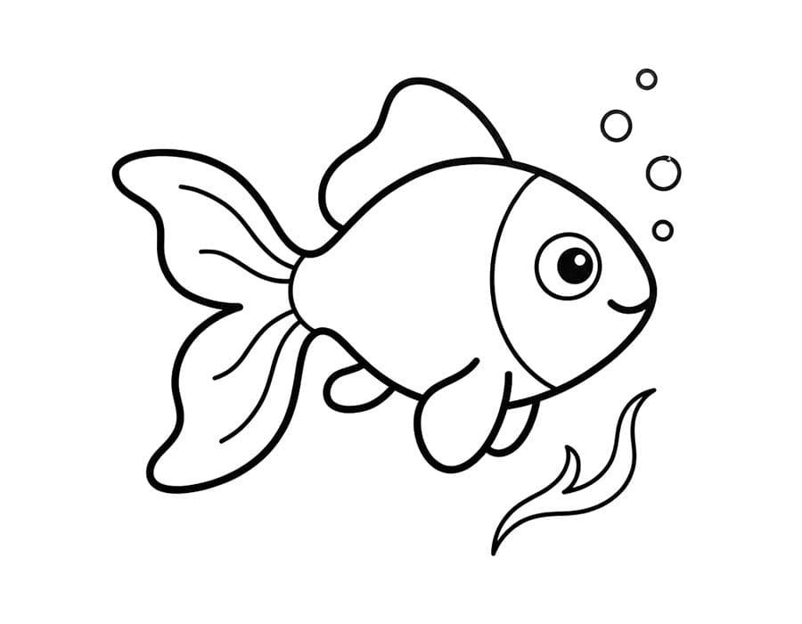 Goldfish Simple
