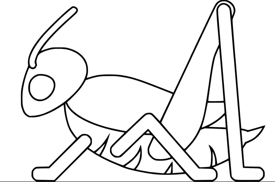 Grasshopper Easy