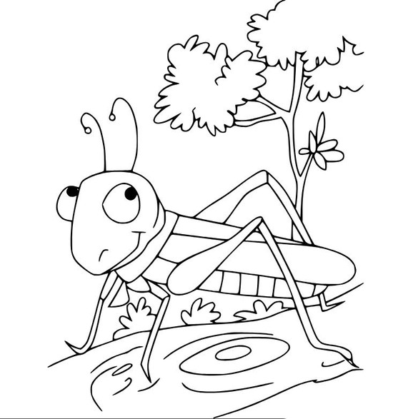 Grasshopper Printable