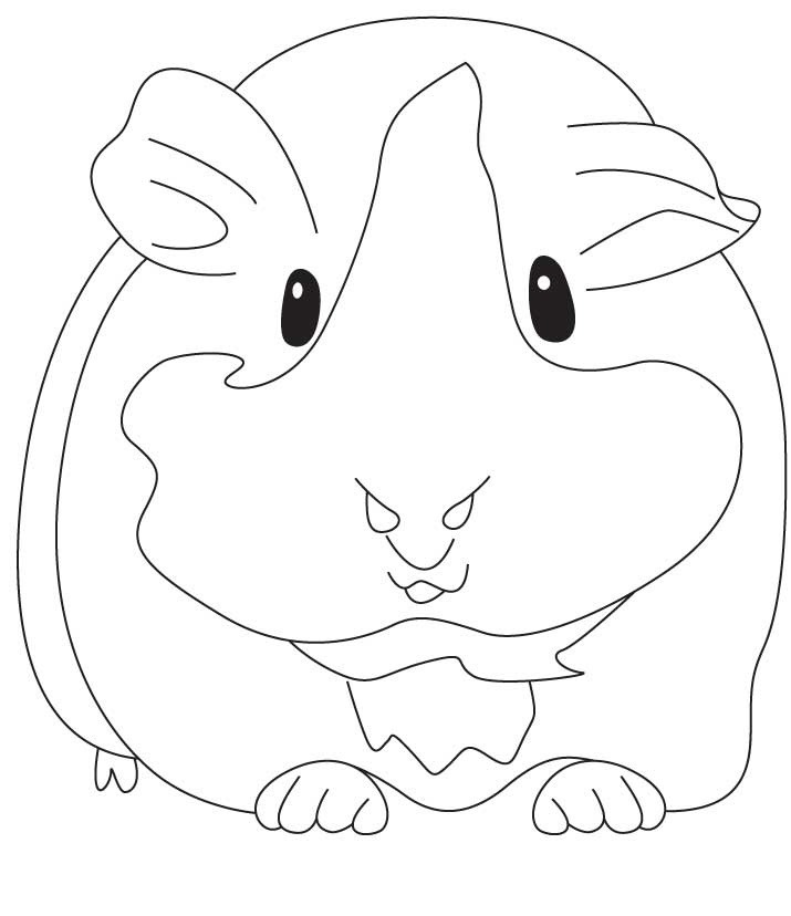 Guinea Pig 2 Coloring Game Guinea Pig 2