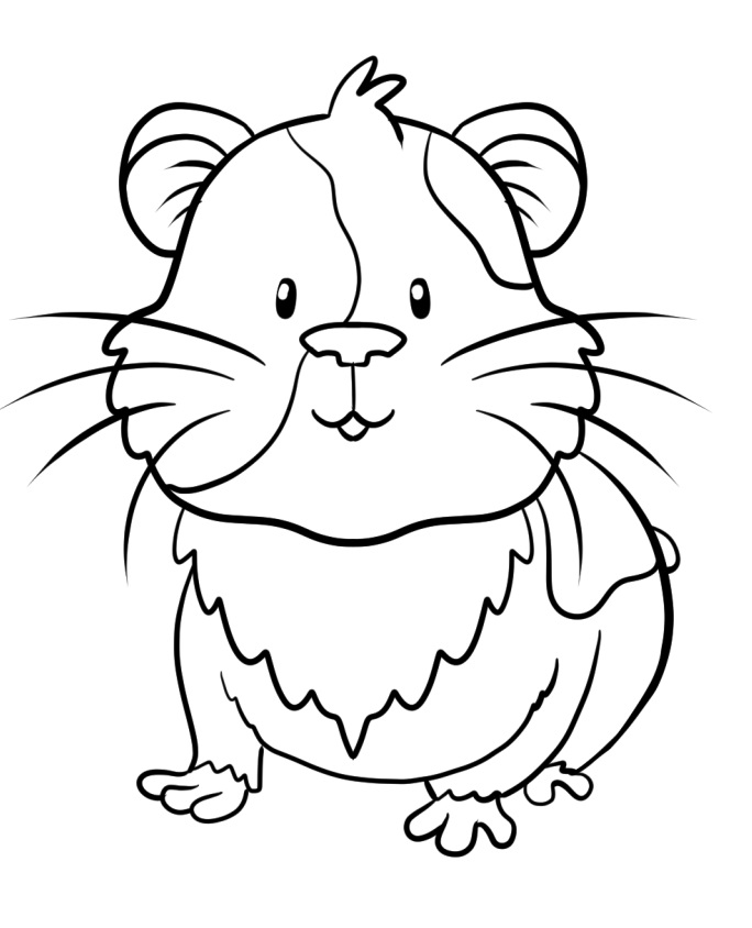 Normal Guinea Pig Coloring - Play Free Coloring Game Online