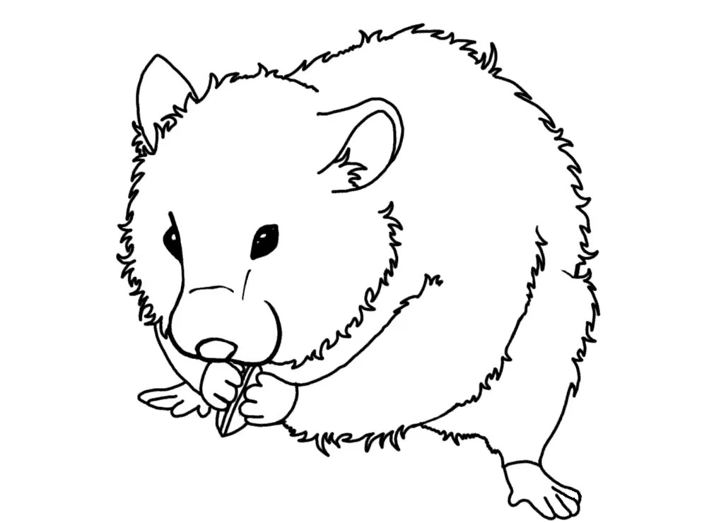 Guinea Pig 5 Coloring Game Guinea Pig 5