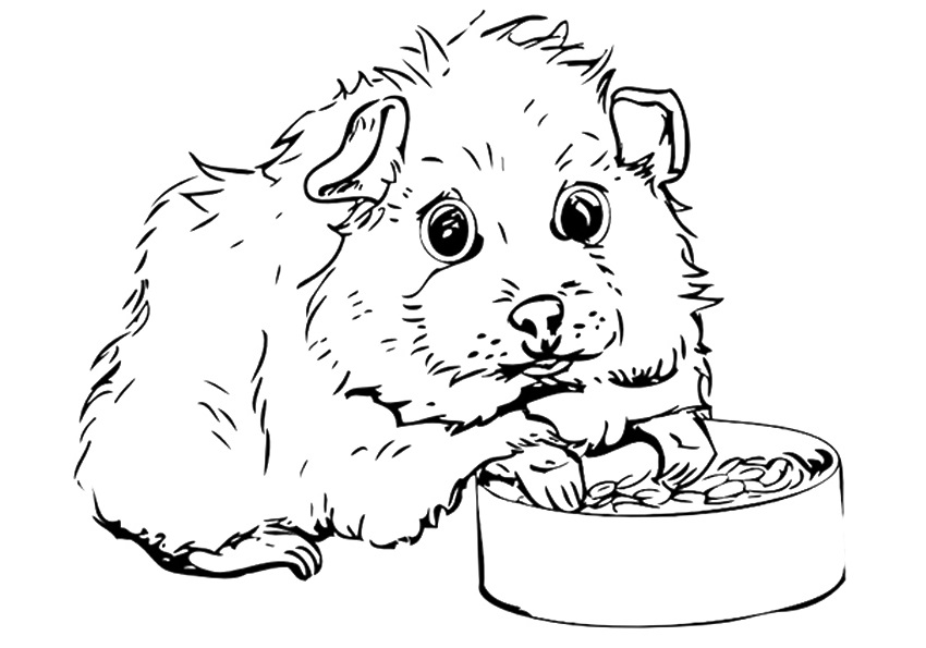 Kawaii Guinea Pig Coloring - Play Free Coloring Game Online